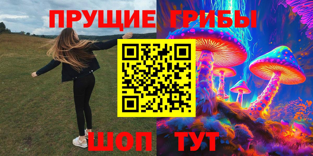 Гусиноозёрск  Псилоцибиновые грибы Magic Shrooms  Вход с VPN  Псилоцибиновые грибы MAGIC MUSHROOMS 